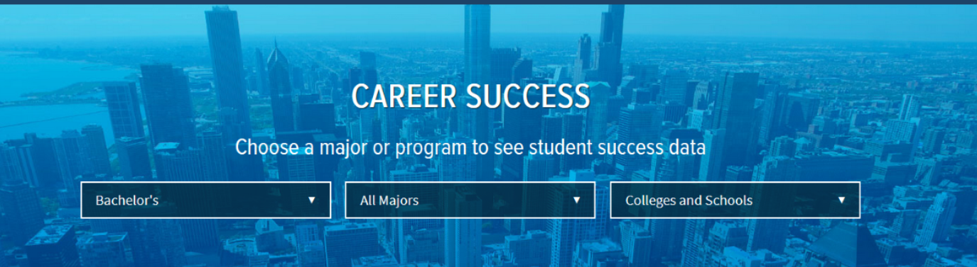 Career Success page image