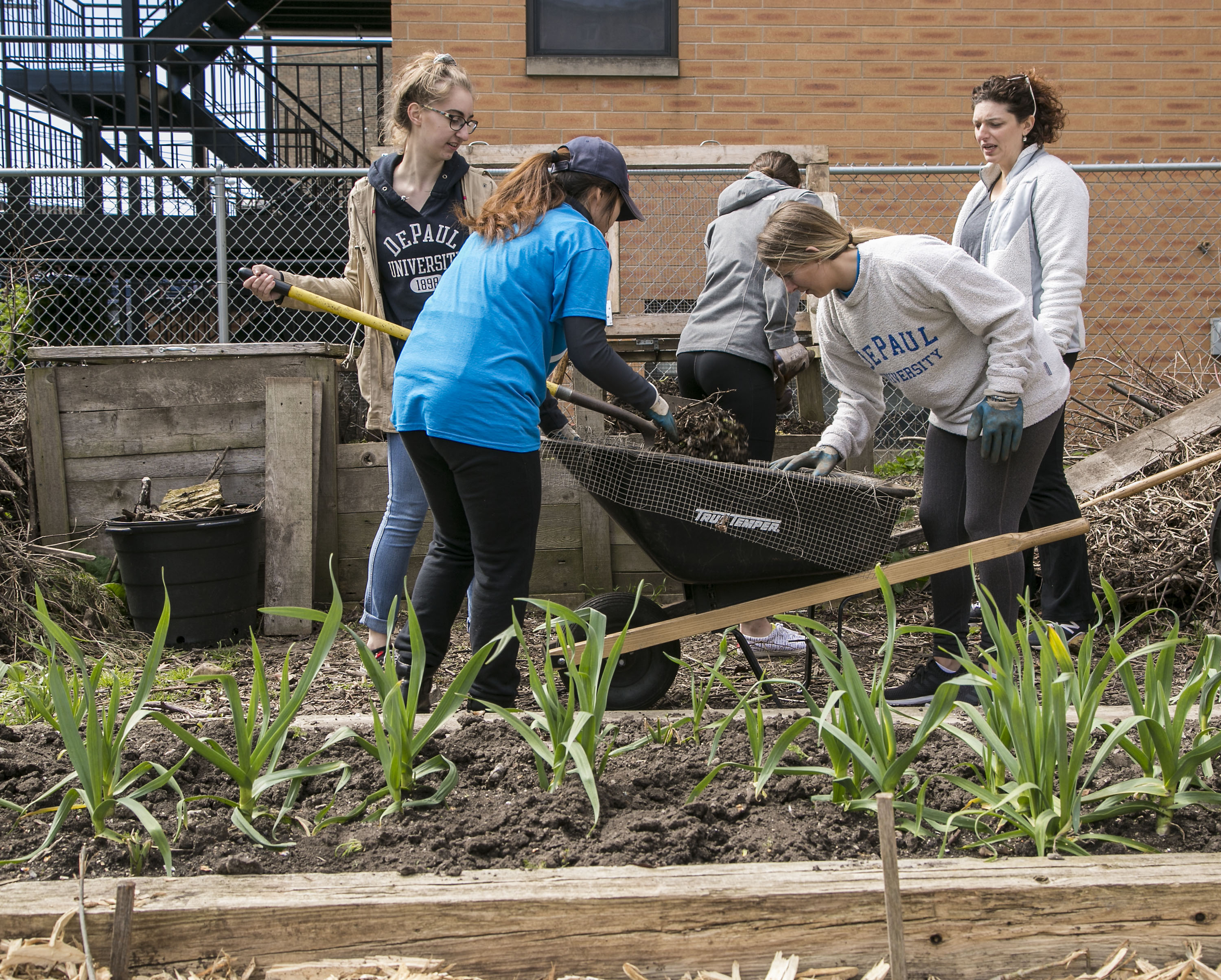 DePaul students participating in Vincentian Service Day