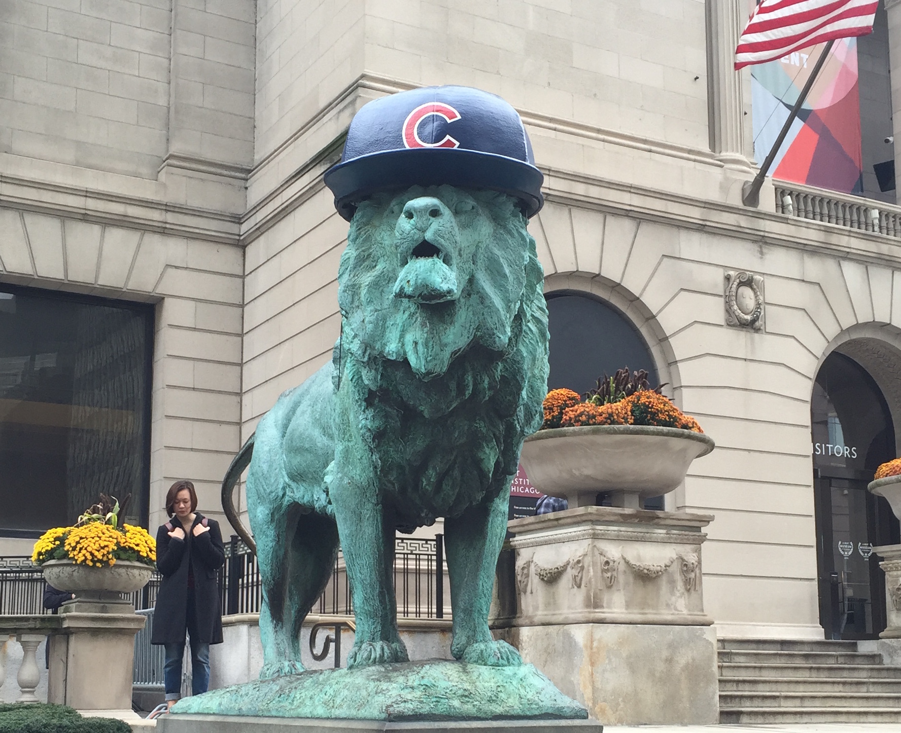 For the first time, the lions outside of the Art Institute of Chicago are adorned with Cubs hats, as the team competes in the 2016 World Series.