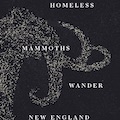 ​‘Seven Homeless Mammoths Wander New England’ explores evolution of relationships