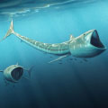 Fossil discovery: Extraordinary ‘big-mouthed’ fish from Cretaceous Period