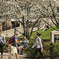 Students help DePaul University earn ‘Tree Campus USA’ recognition; plan Earth Week activities