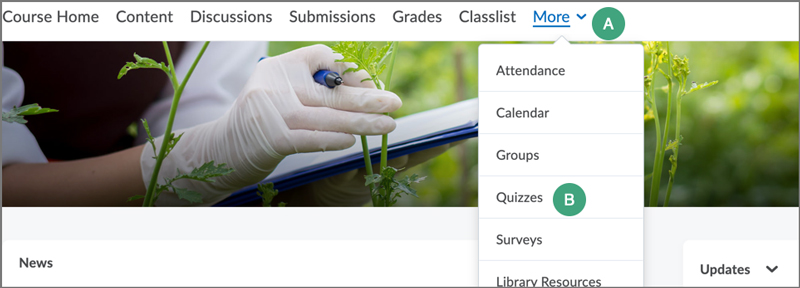 screenshot of d2l course navbar with label on more and another label on quizzes