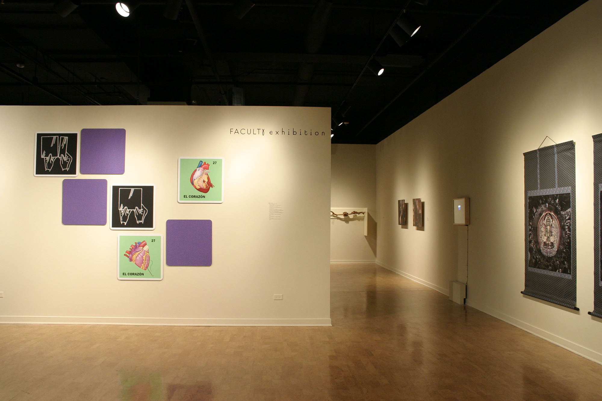 Installation view at the DePaul University Art Gallery
