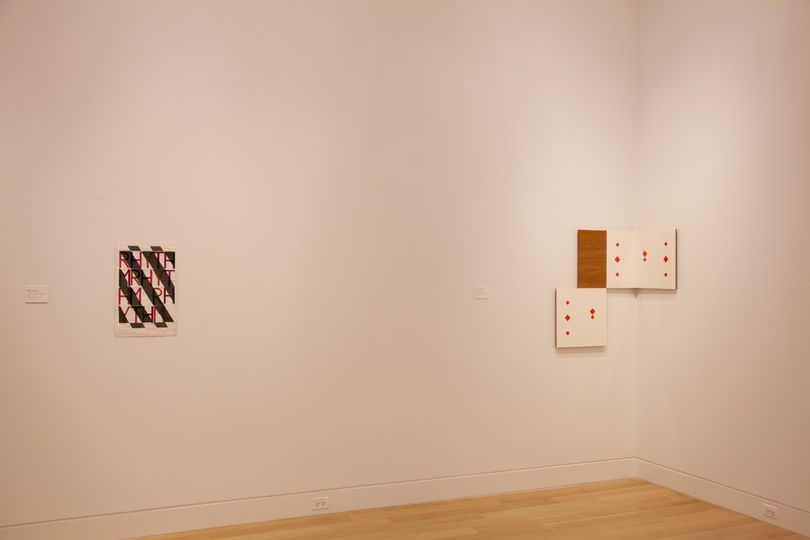 Installation view of "Dianna Frid & Richard Rizac: Split Complementary"