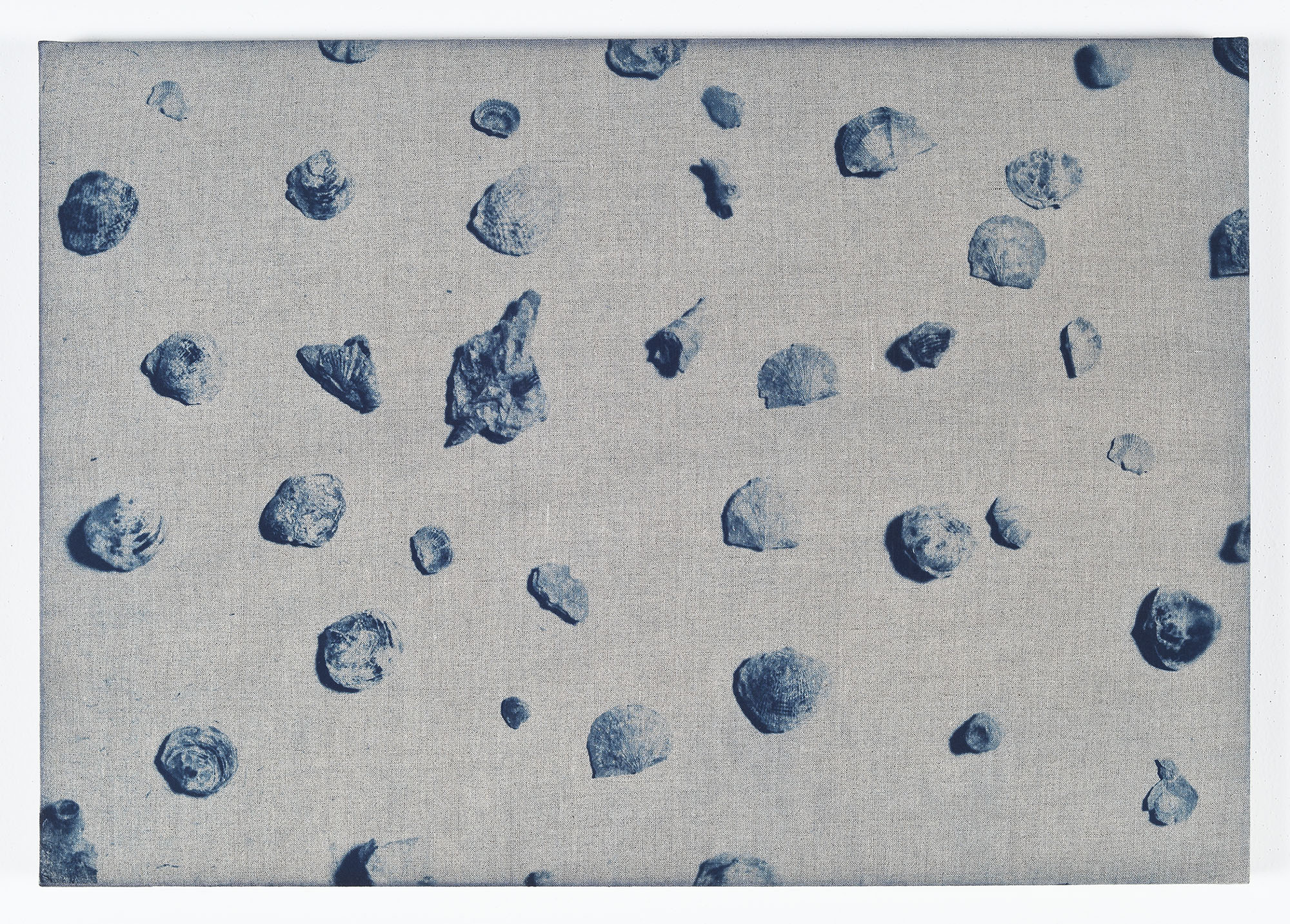 John Opera, Devonian I, 2012. Cyanotype on stretched linen. Collection of DePaul Art Museum, Art Acquisition Endowment, 2013.31