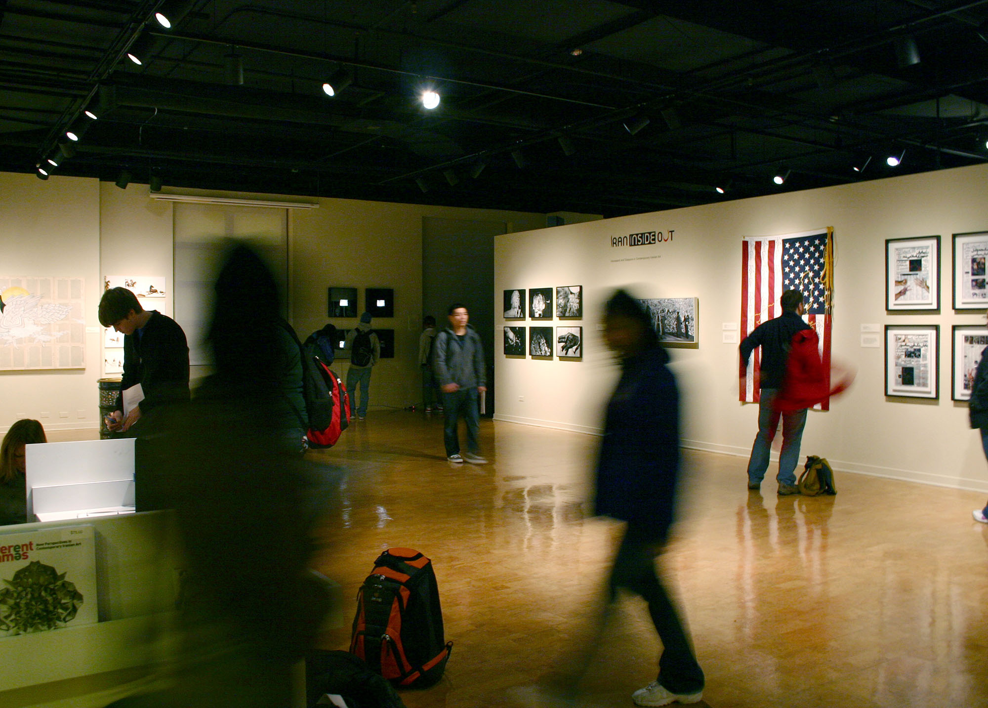 Installation view at the DePaul University Art Gallery