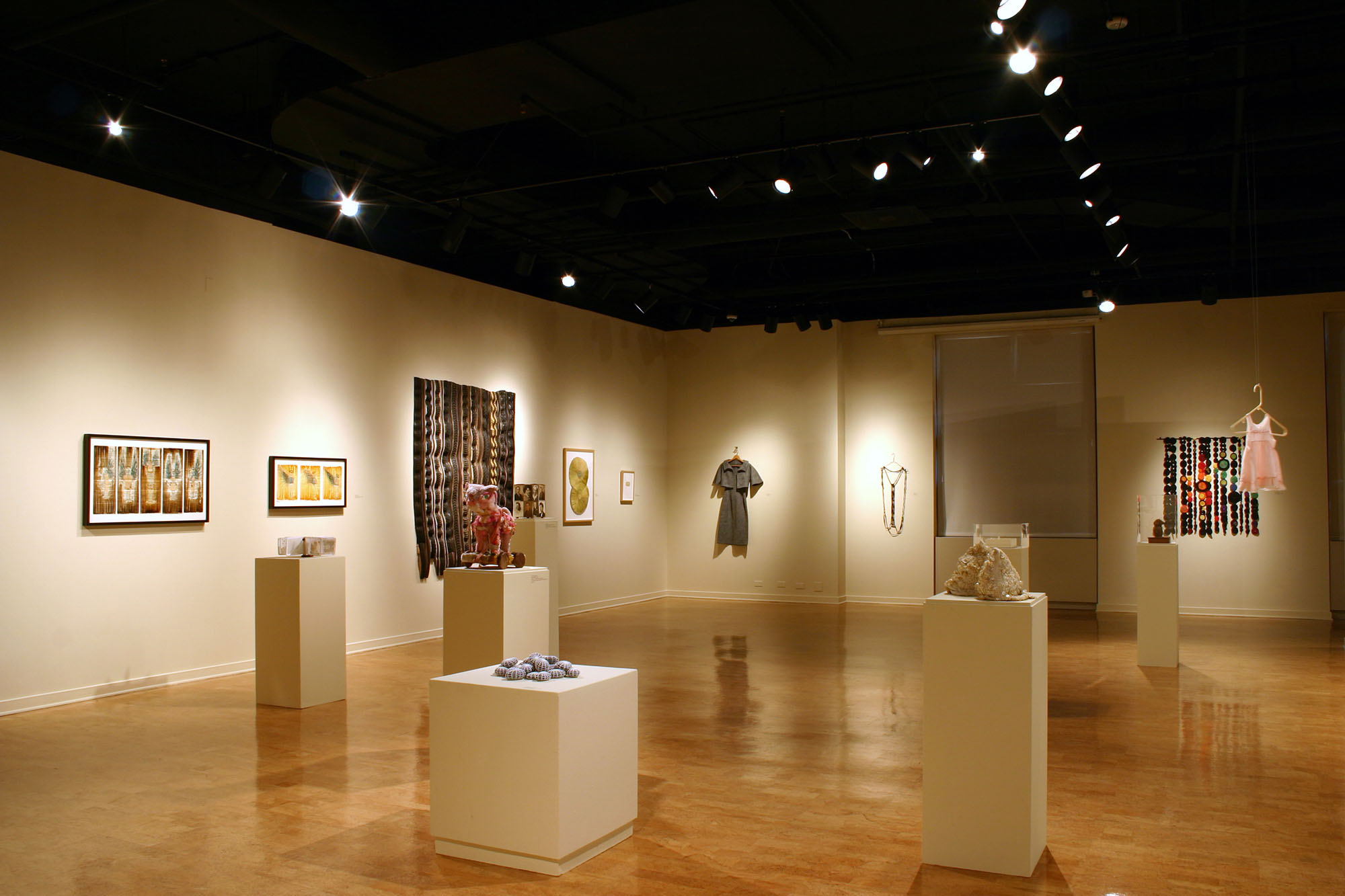 Installation view at the DePaul University Art Gallery