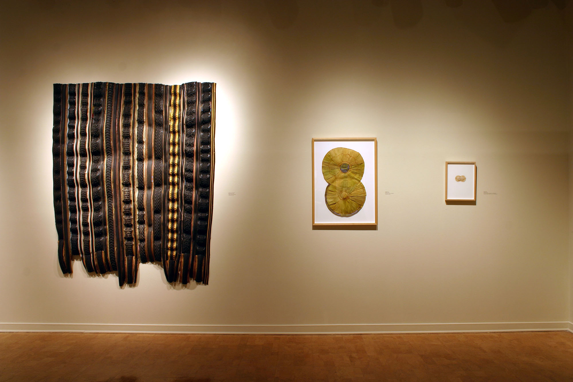 Installation view at the DePaul University Art Gallery