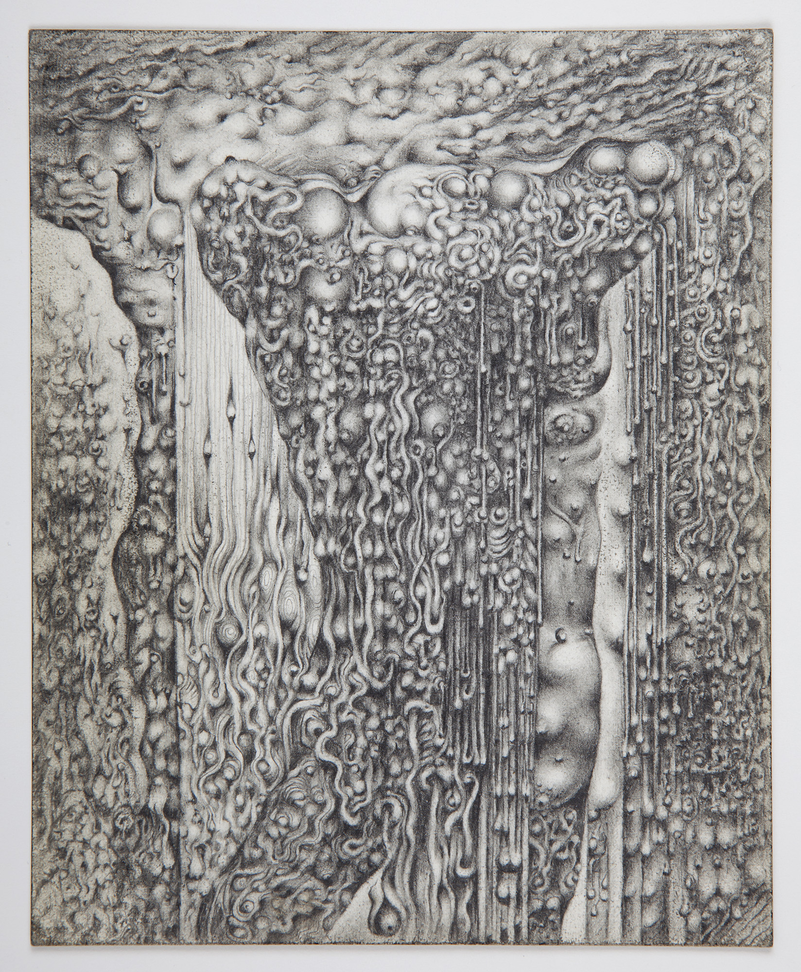 The Nature Drawings of Peter Karklins | Exhibitions | DePaul Art Museum ...