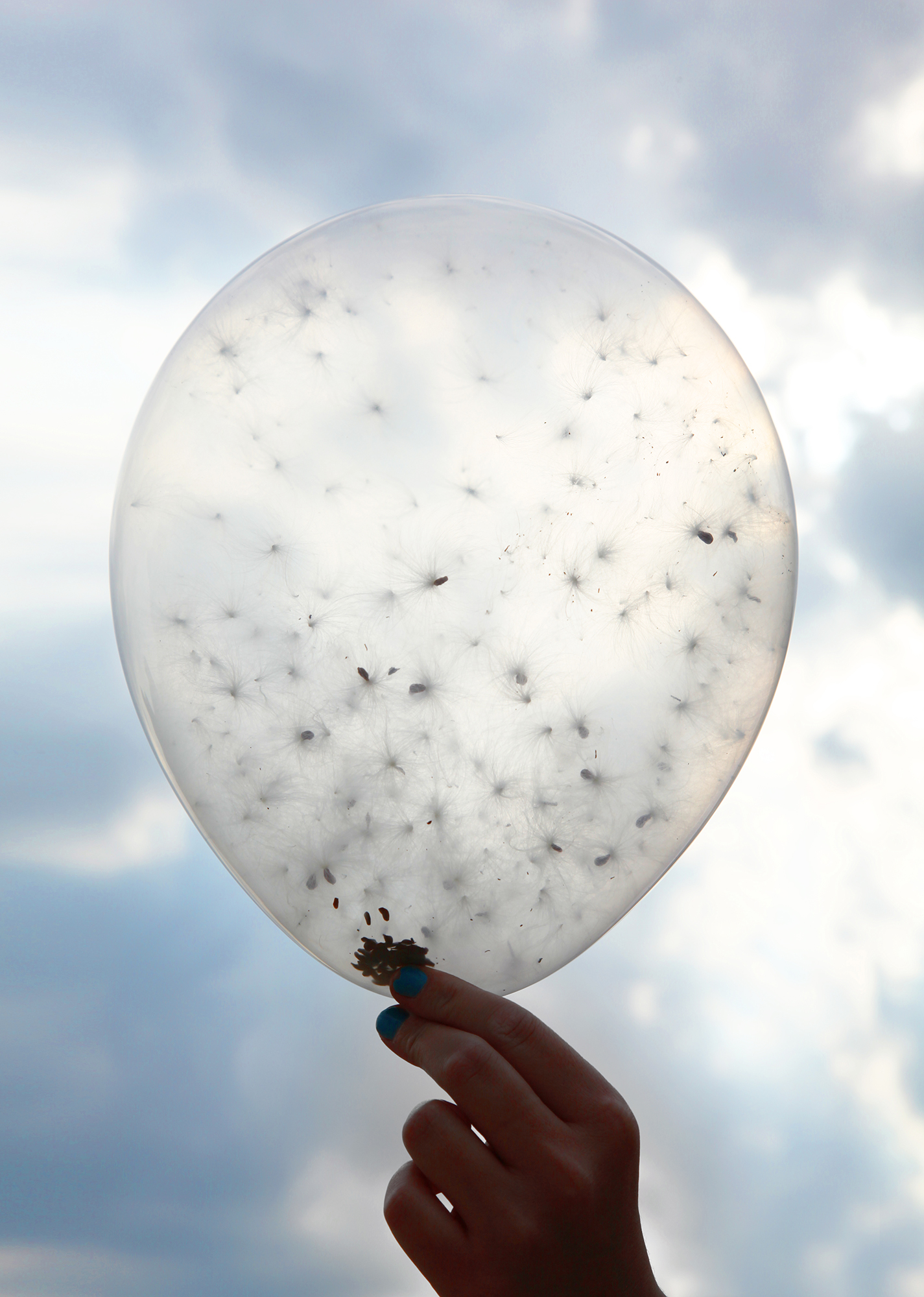 Jenny Kendler, Milkweed Dispersal Balloons (performance), 2014–15. Digital print. Courtesy of the artist and the Natural Resources Defense Council.