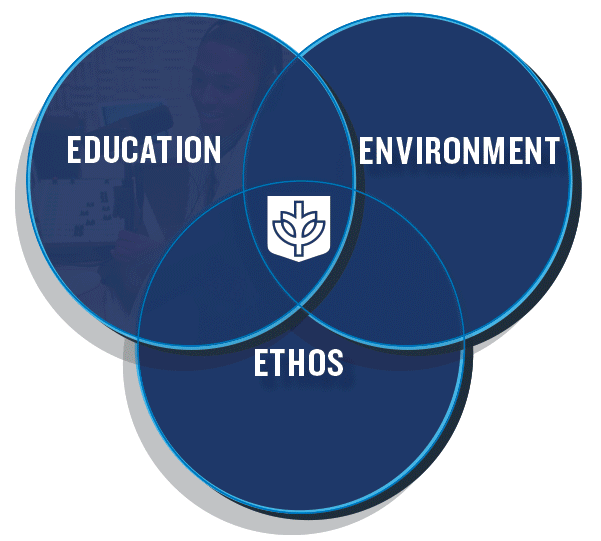 Education, Environment and Ethos