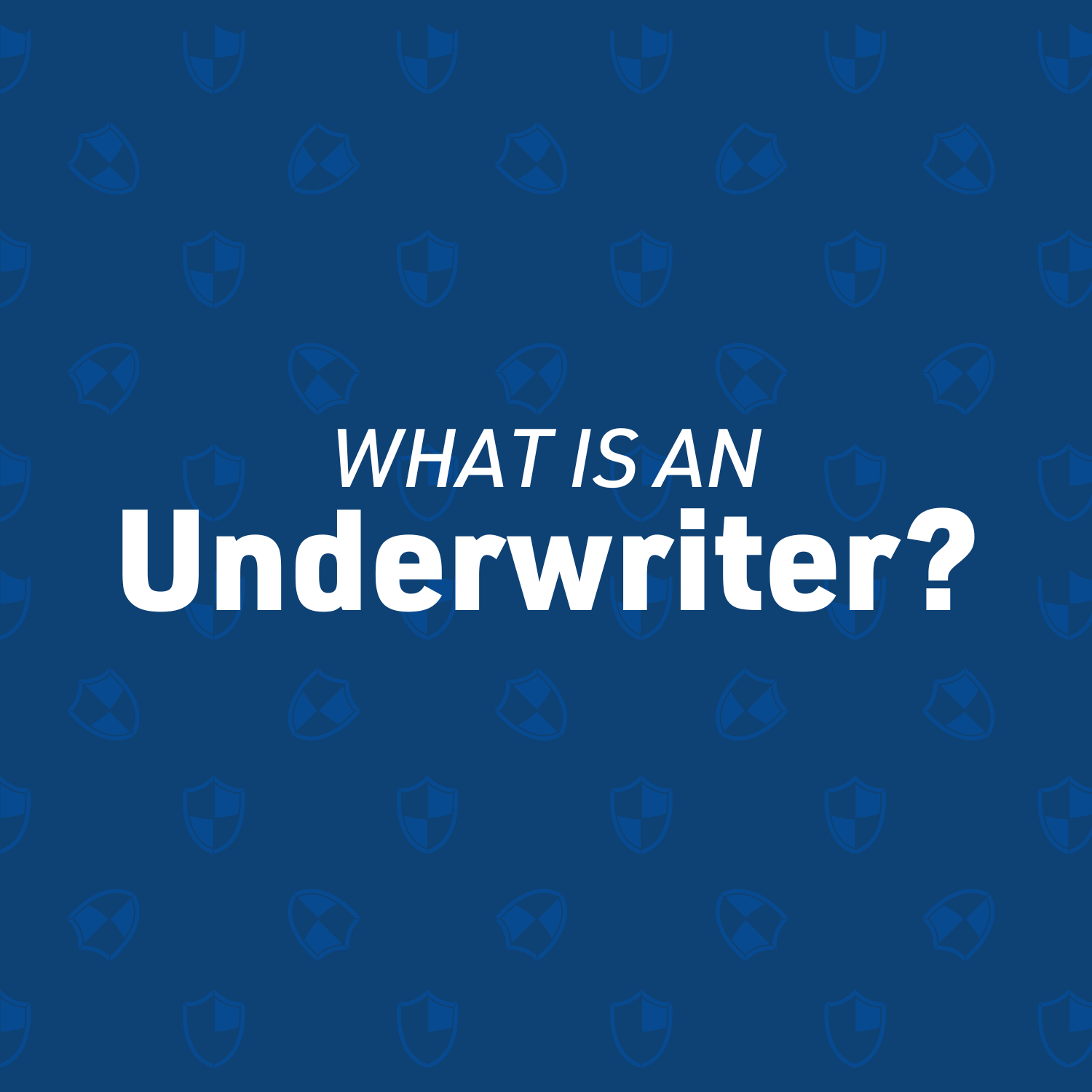 What is an Underwriter