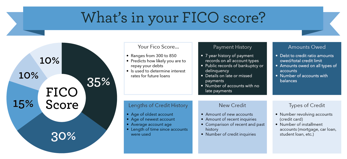 What's in your FICO score