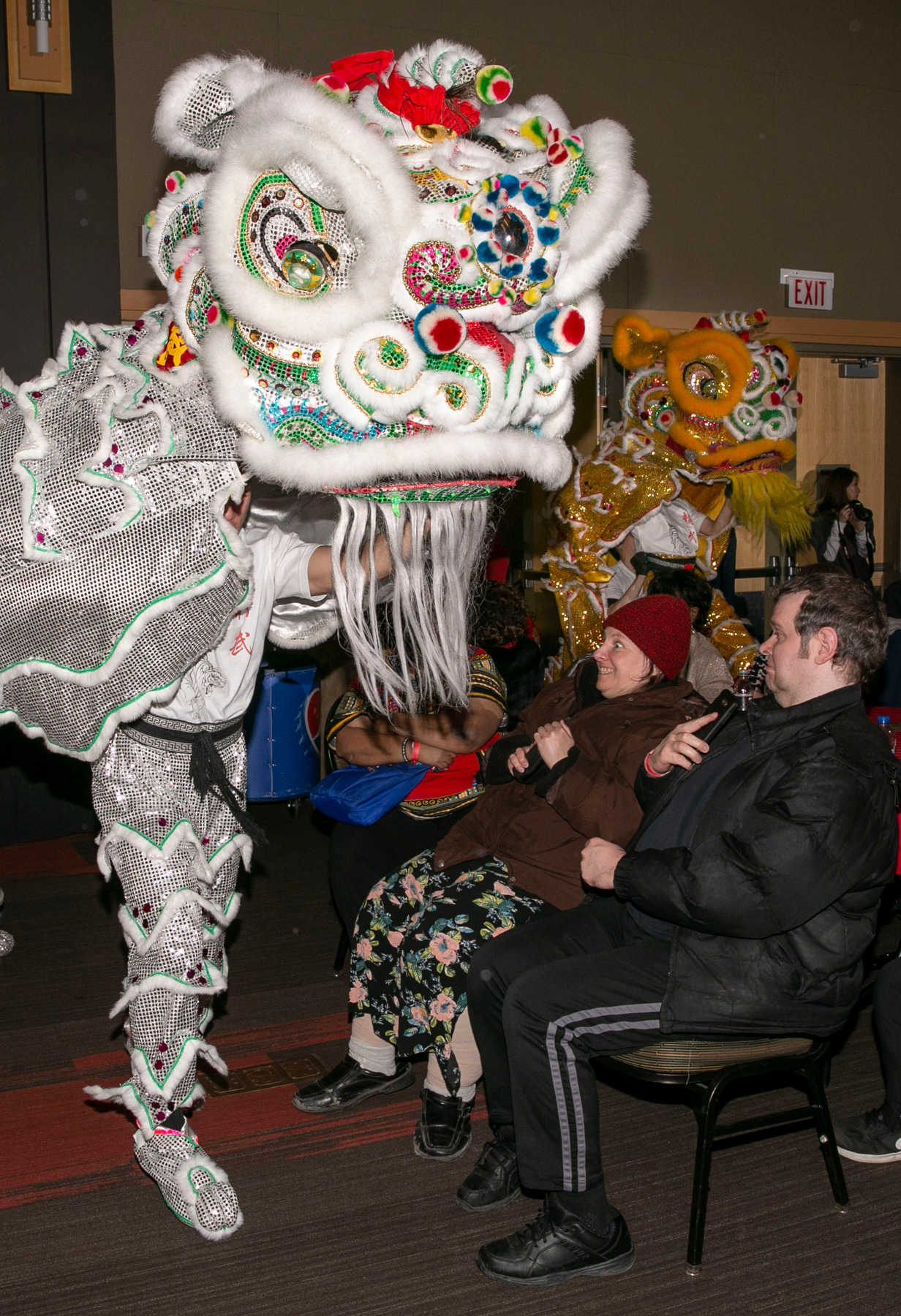 depaul chinese new year gala