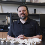 Dire times: Can genetic engineering that brings back extinct species save ecosystems? 