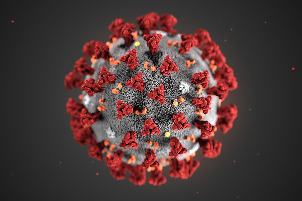 This illustration, created at the Centers for Disease Control and Prevention (CDC), reveals ultrastructural morphology exhibited by the 2019 Novel Coronavirus