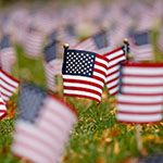 DePaul to host events in commemoration of Veterans Day