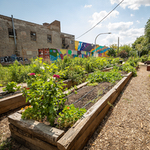 Turning food waste into a greener future for Chicagoans