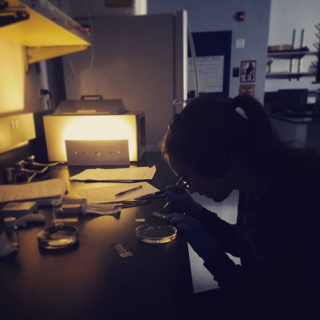 A student researcher working at a table with a petri dish in front of her.