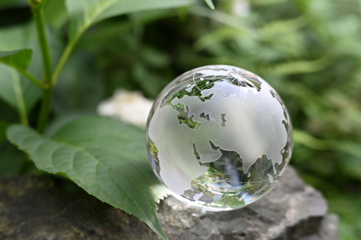 A glass globe with a leaf background