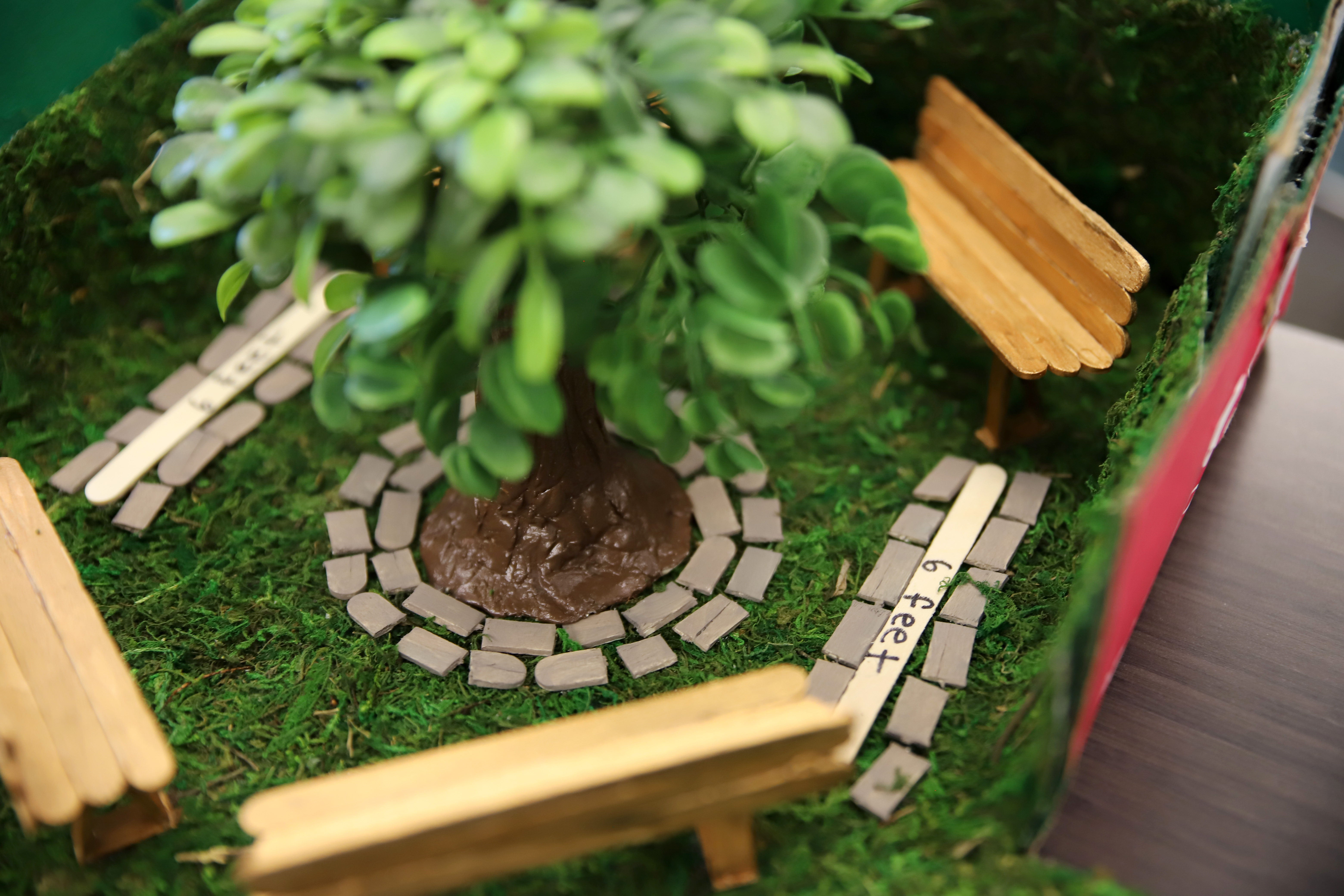A student project with a model tree