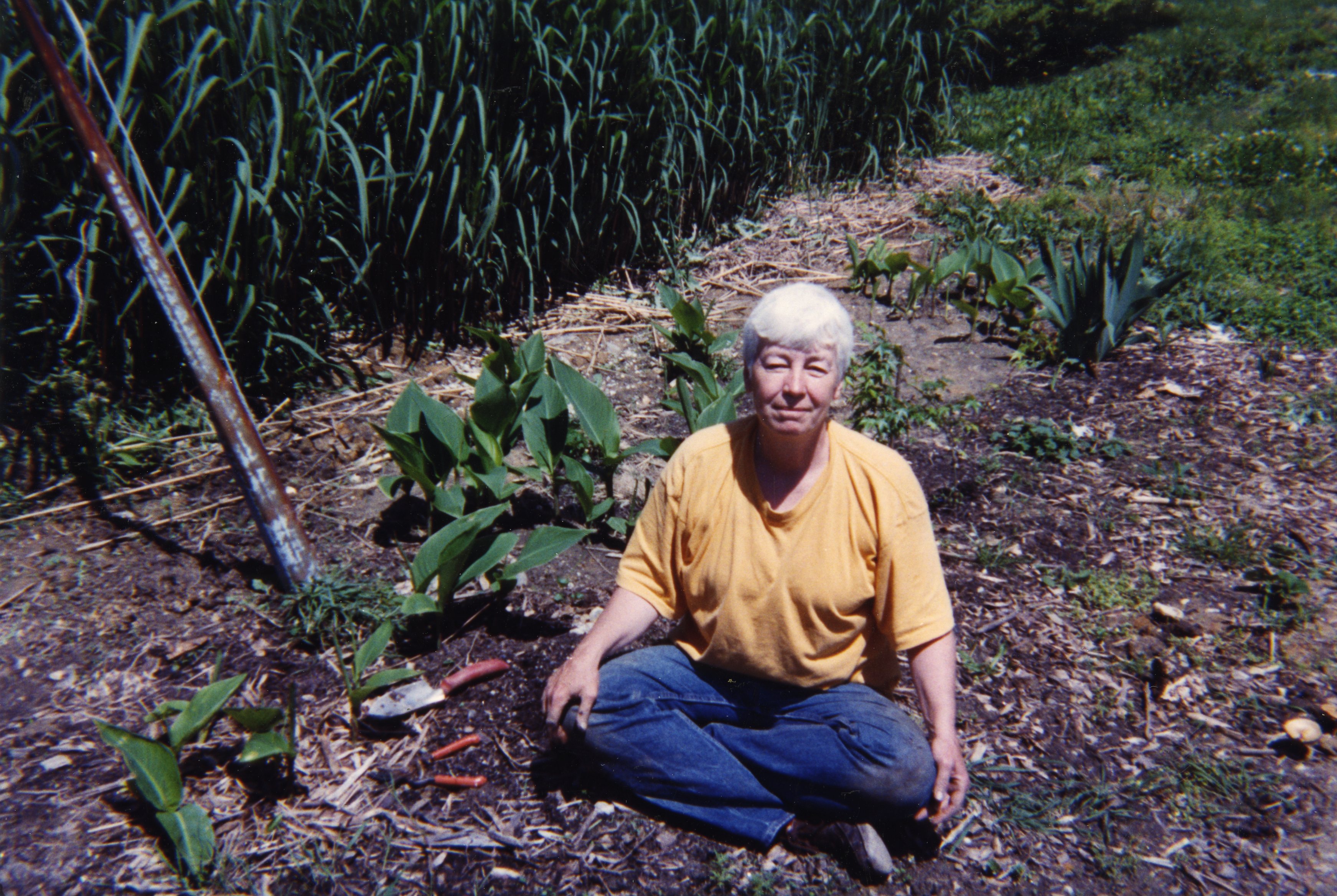 Elizabeth McAlister. (Photo courtesy of DePaul Special Collections and Archives)