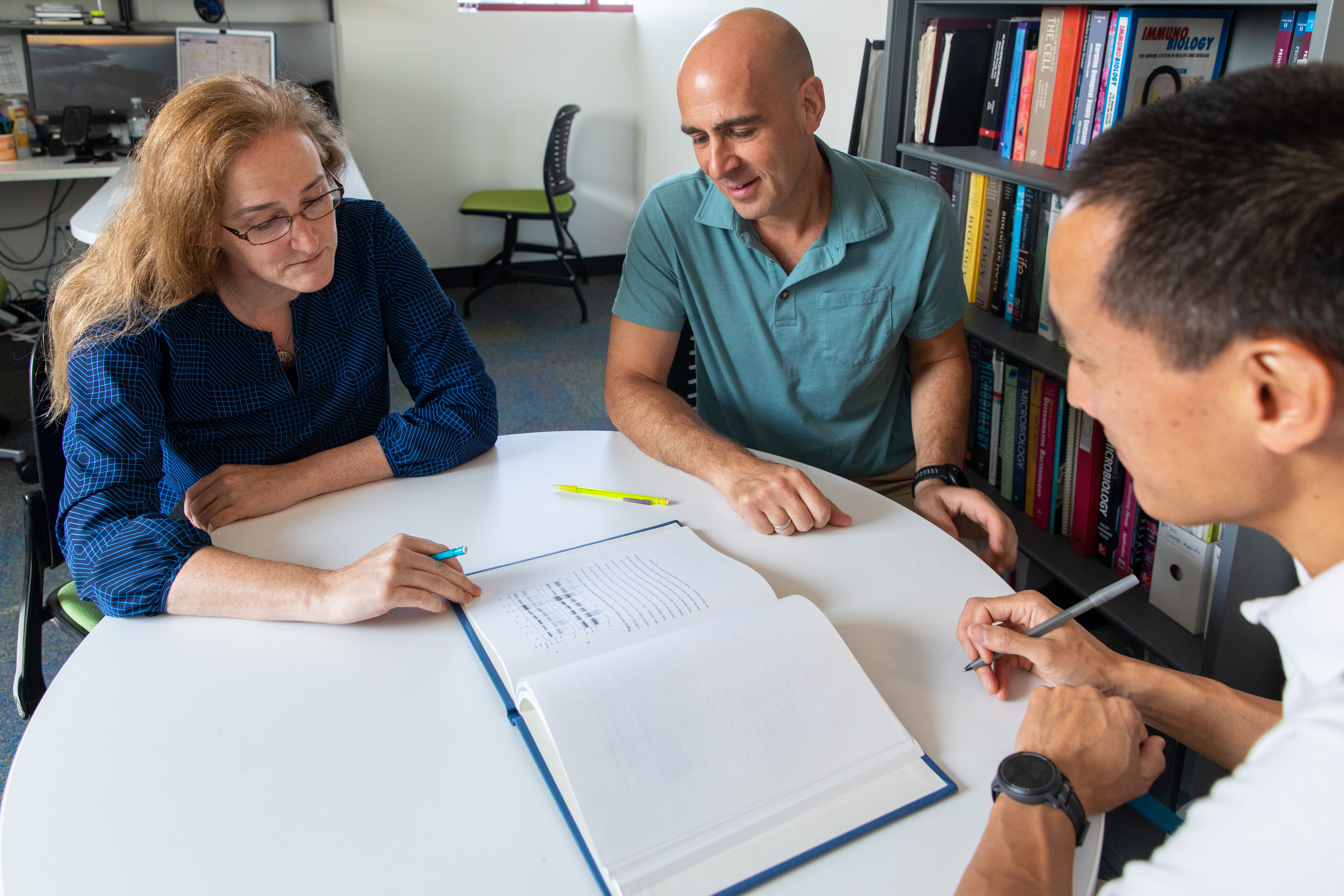 Three professors discuss research