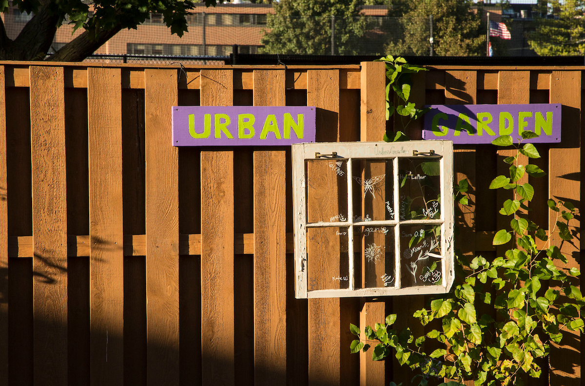 Garden fence with the words Urban Garden painted on it