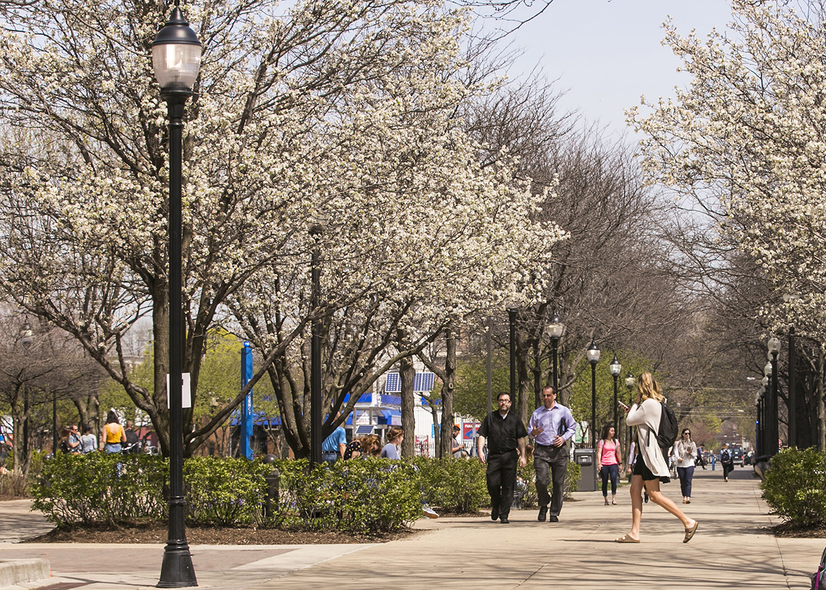 DePaul Lincoln Park Campus in Spring