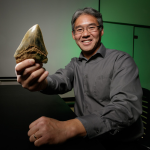 Set in stone: Kenshu Shimada receives prestigious award