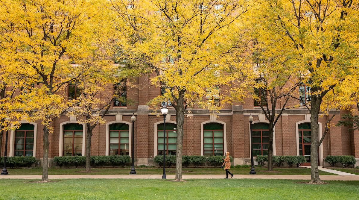 Lincoln Park Campus, fall 2018