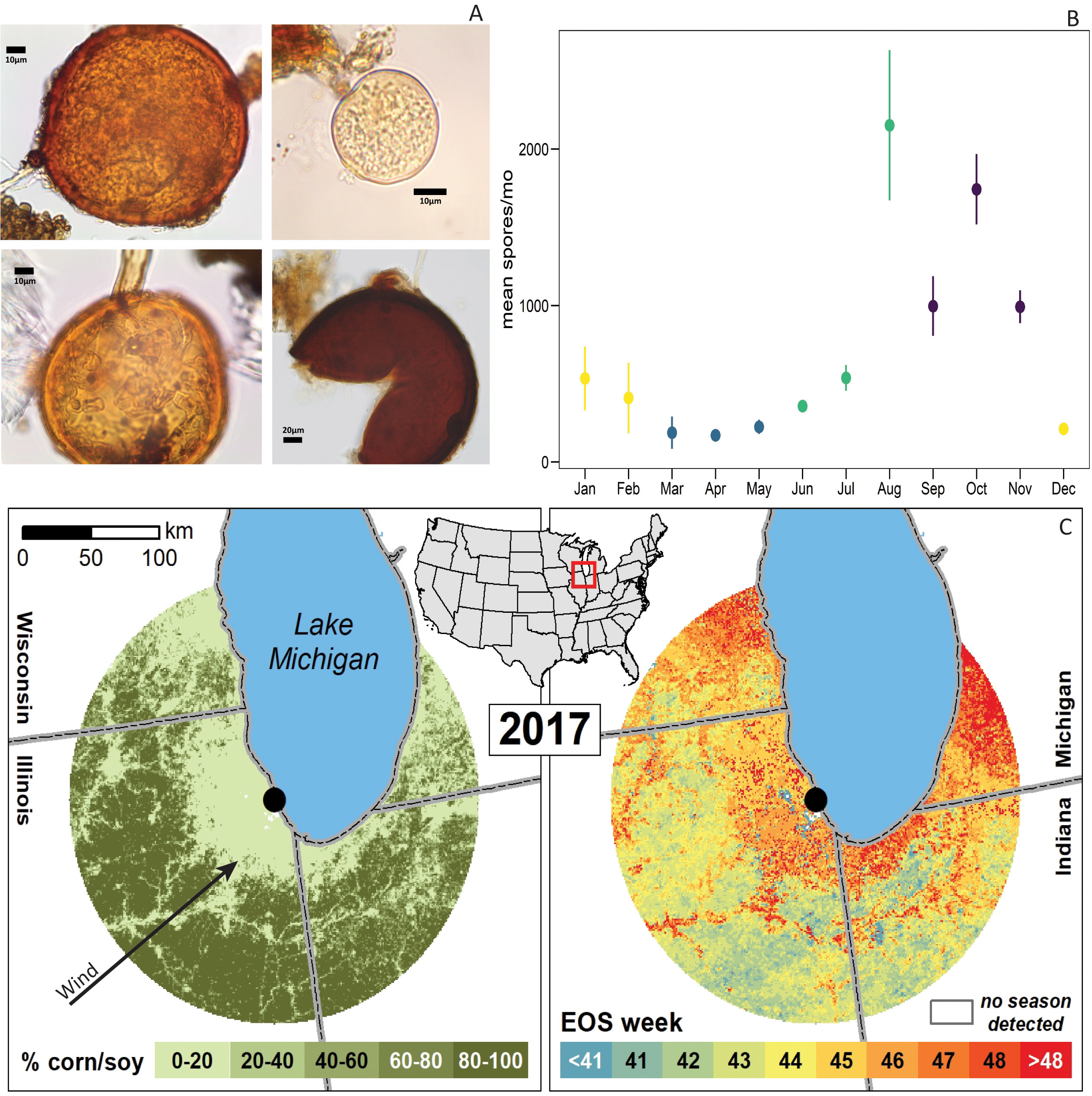 Microbes, charts and maps of dispersal of mycorrhizal fungi 