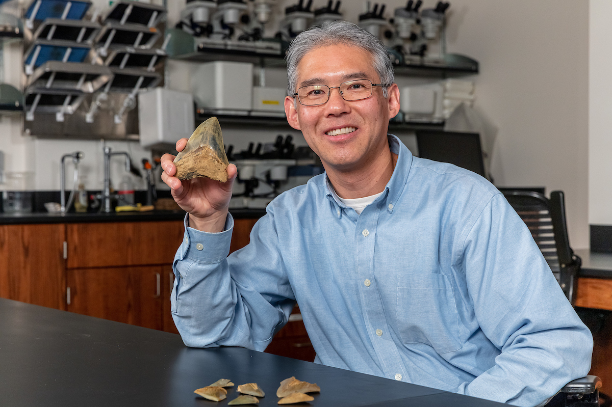 Kenshu Shimada holding up a fossilized megalodon tooth