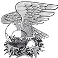 Air Force vet, artist Eric J. Garcia critiques militarization in ‘Bald Eagle’s Toupee’