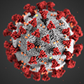 DePaul University experts available to discuss coronavirus issues