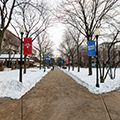 DePaul University to reopen campuses Wednesday, Feb. 17