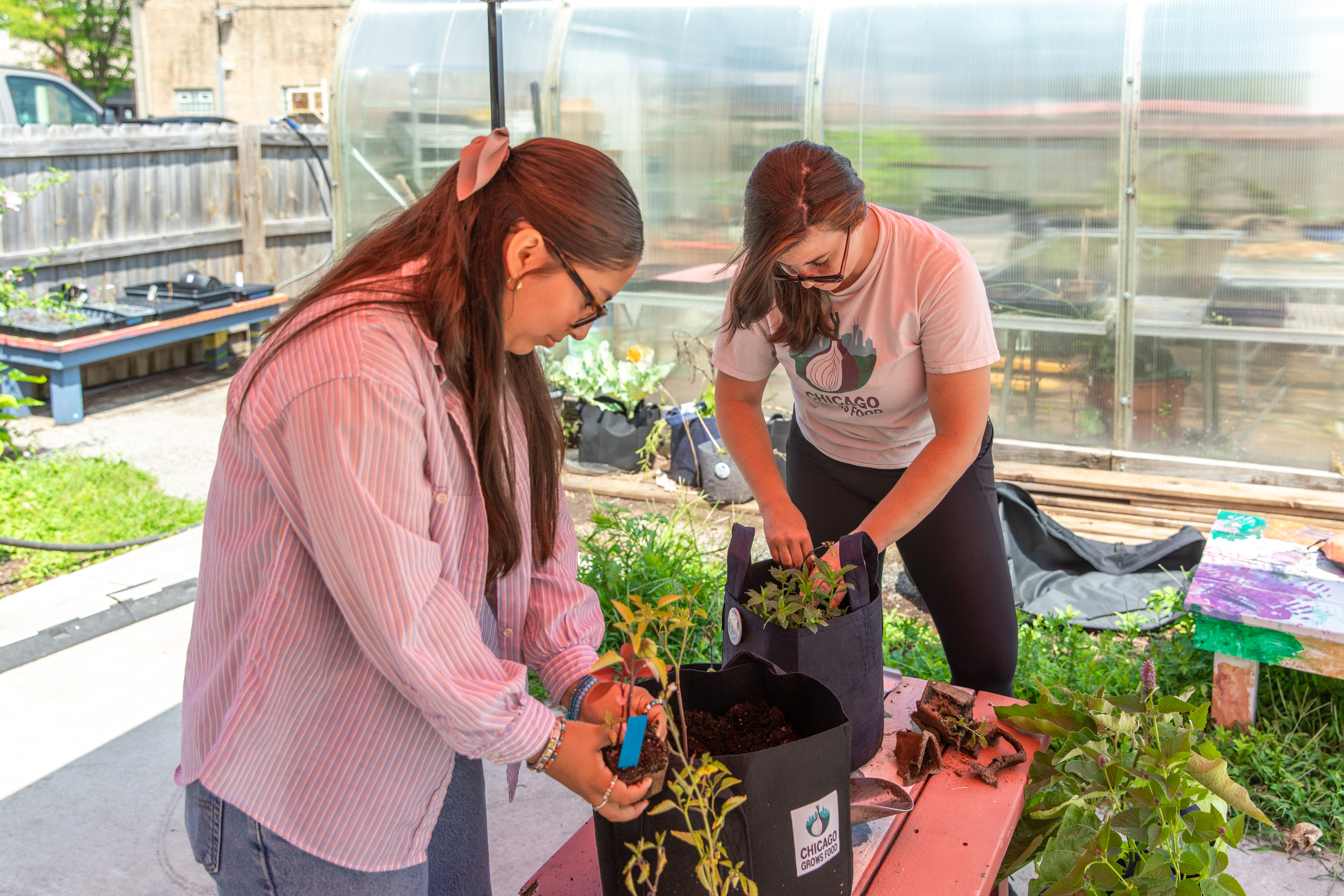 A McCormick intern and her supervisor at Chicago Grows Food