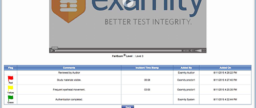 View of Examity flags View of Examity flags