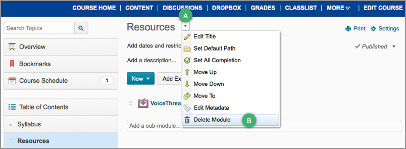 The Delete Module option