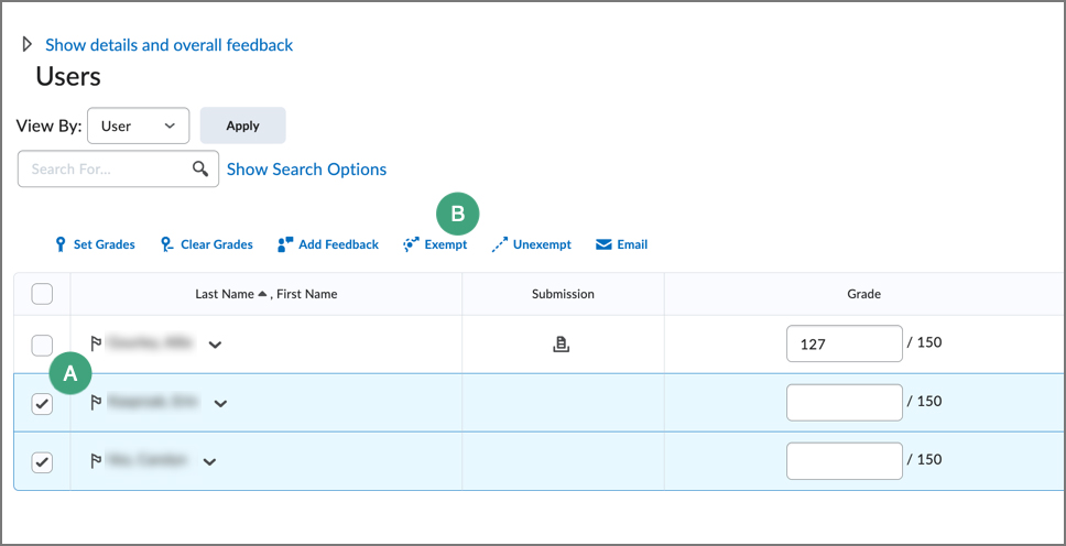 screenshot of the enter grades screen for a grade item