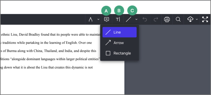 screenshot of the annotations interface in d2l submissions with labels on the tool icons