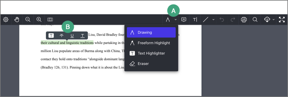 screenshot of the annotations interface in d2l submissions with labels on the tool icons