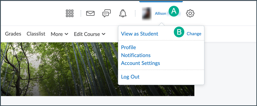 select view as student