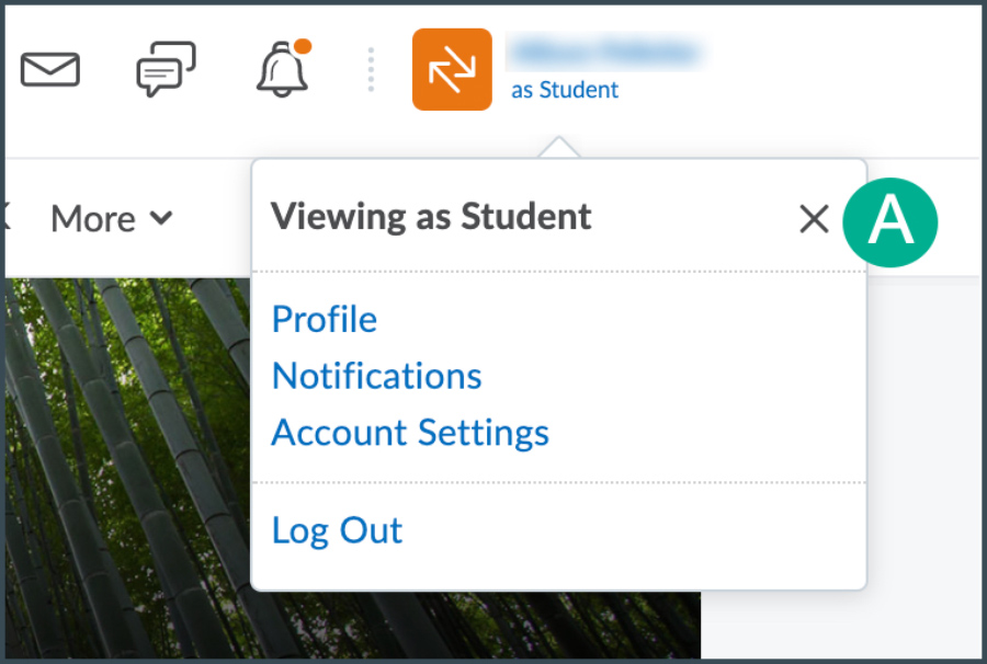 exit student view exit student view