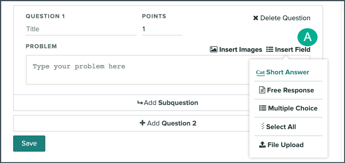 insert field for an online assignment question