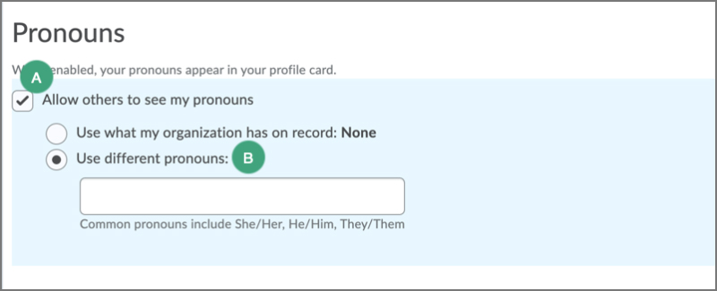 settings to display pronouns