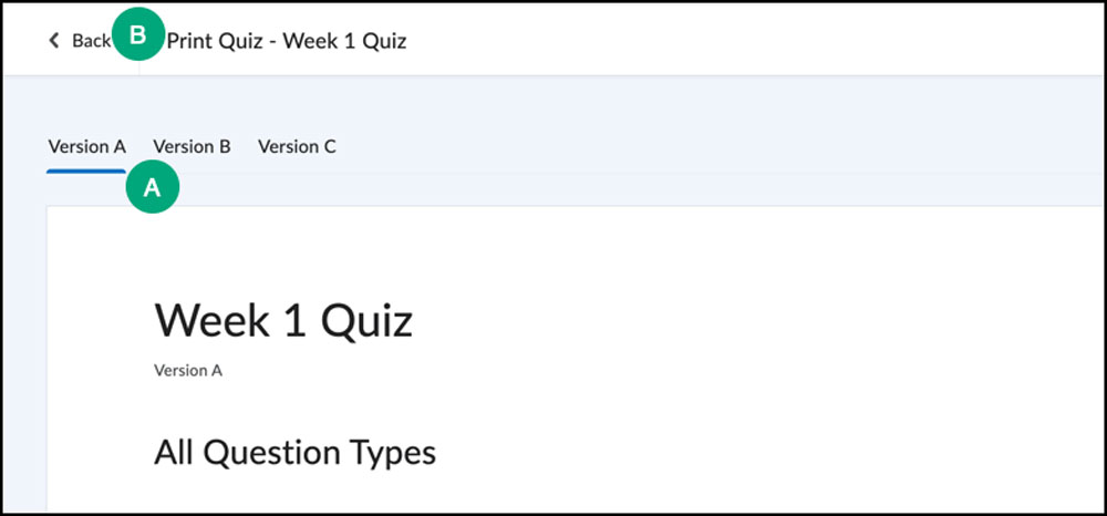 screenshot of the print quiz view options