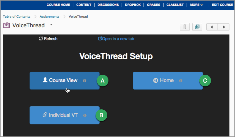 VoiceThread link setup options VoiceThread link setup options
