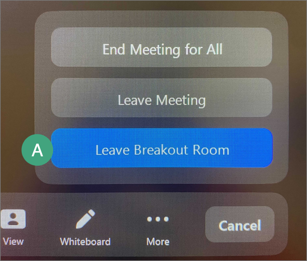 menu options for leaving breakout room